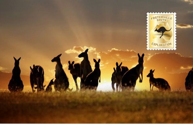 Image 4 FSX Kangaroo.jpg