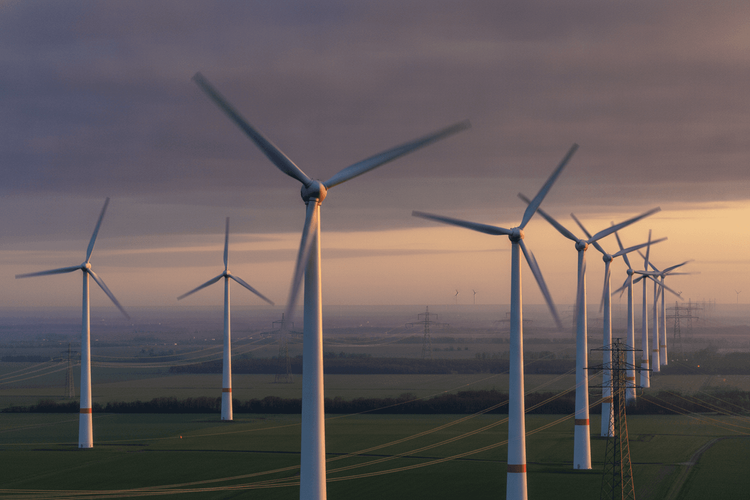 Deutschland wieder Netto-Stromexporteur: Windkraft treibt Wende