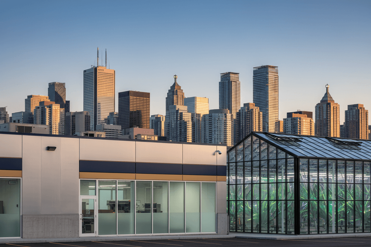 Kanadischer Aktienmarkt: S&P/TSX Composite gewinnt 0,46 Prozent