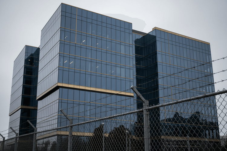 Google-Mitarbeiter rebellieren: Über 900 fordern Trennung von US-Einwanderungsbehörden