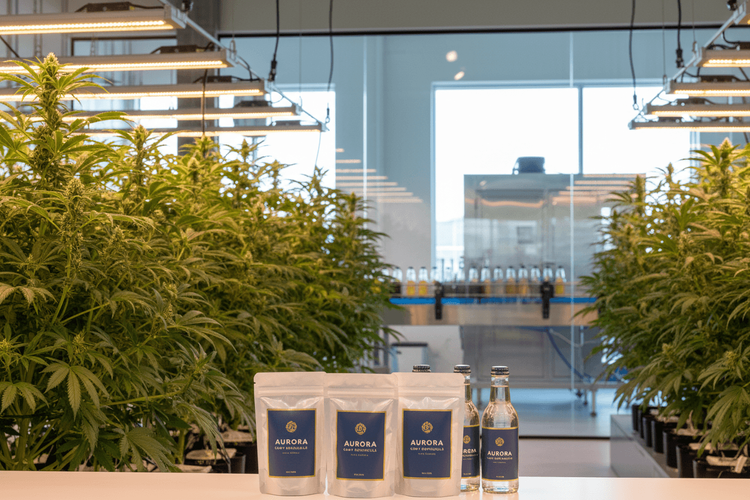 Tilray Brands: Rekordergebnisse im dritten Quartal mit starkem Cannabis-Wachstum