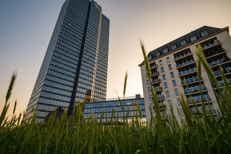 DAX erholt sich nach Schwächephase – Bayer-Aktie springt 7 Prozent