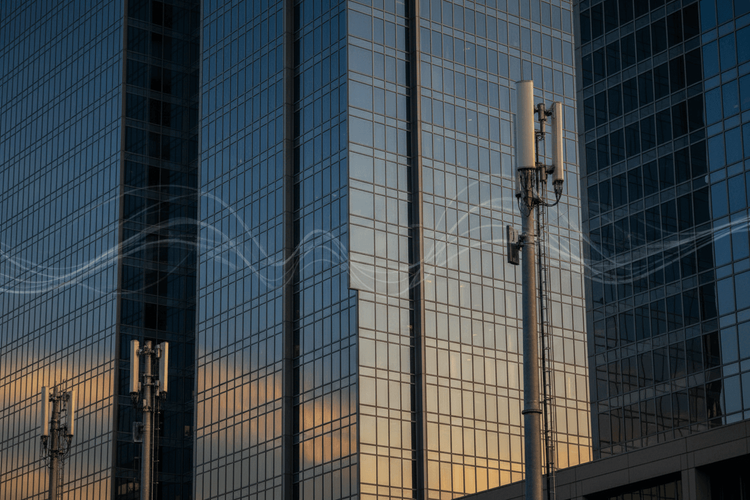 T-Mobile verfehlt Erwartungen: Aktie fällt nach schwächerem Kundenwachstum