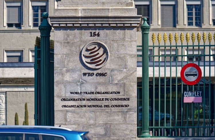 China ruft WTO im E-Auto-Zollstreit an
