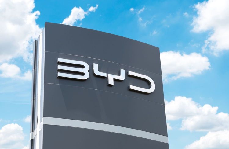 BYD kommt in Deutschland nicht vom Fleck