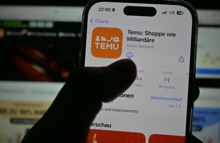 Temu auf Erfolgskurs in Deutschland