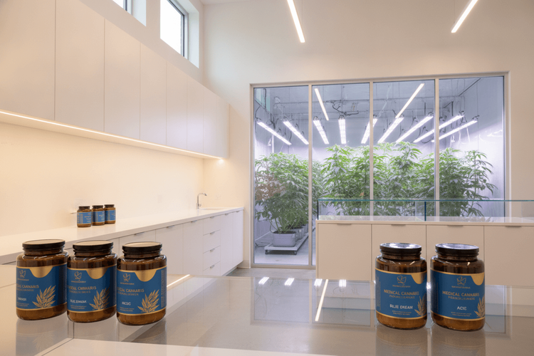 Vireo Growth expandiert nach Pennsylvania mit 20-Millionen-Dollar-Deal