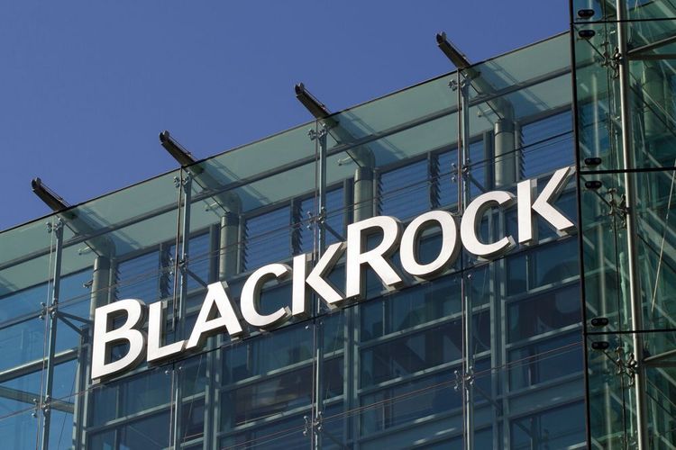BlackRock leidet unter fallenden Märkten und niedrigeren Gebühren
