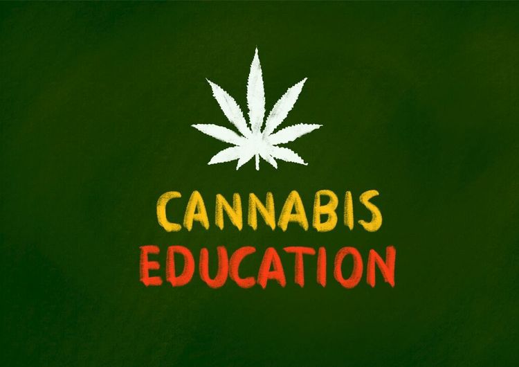 Cannabis-Bildungszentrum in West-Virginia eröffnet