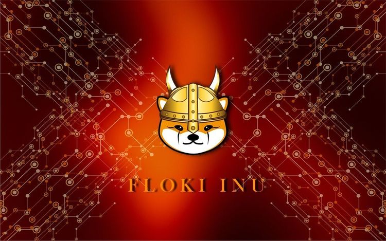 Behörde: Floki Inu verstößt gegen Werbestandards