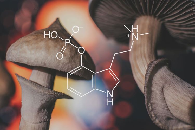 Studie bestätigt die Wirksamkeit von Psilocybin bei Depressionen