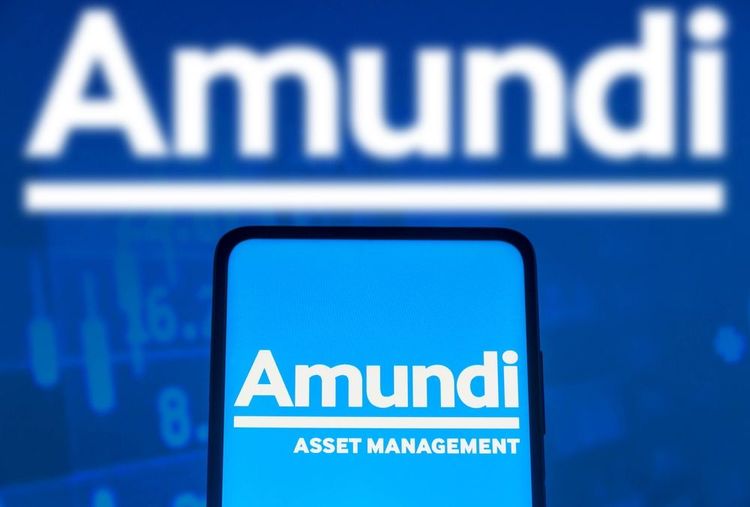 Amundi warnt, dass Teile des Private-Equity-Marktes einem Schneeballsystem ähneln