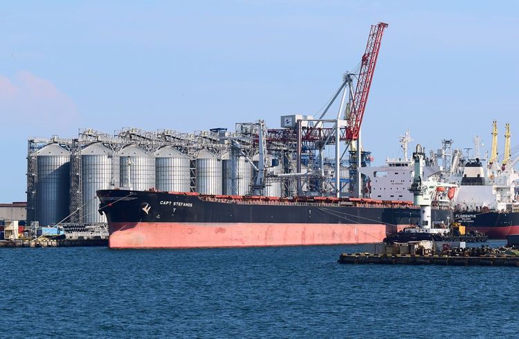 Ukraine fordert Ausweitung des Schwarzmeer-Getreideabkommens auf andere Produkte