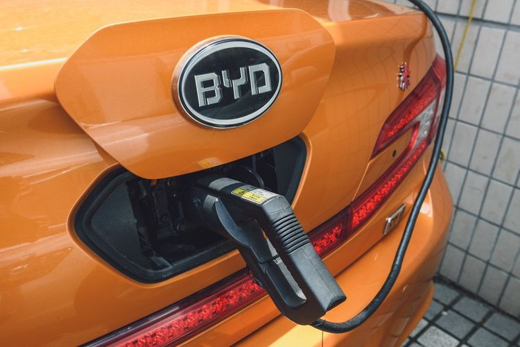 Tesla-Rivale BYD bricht Gewinnrekord