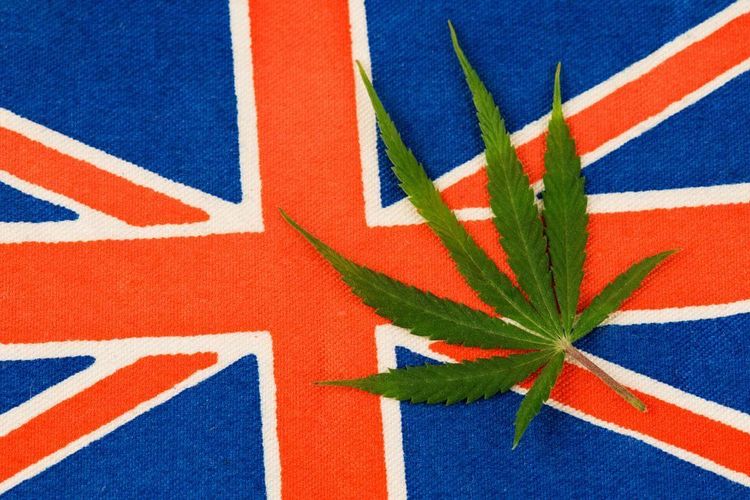 In England gibt es jetzt die Cannabis-Patientenkarte