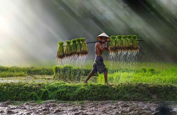 Apple Watch und MacBook sollen erstmals in Vietnam hergestellt werden