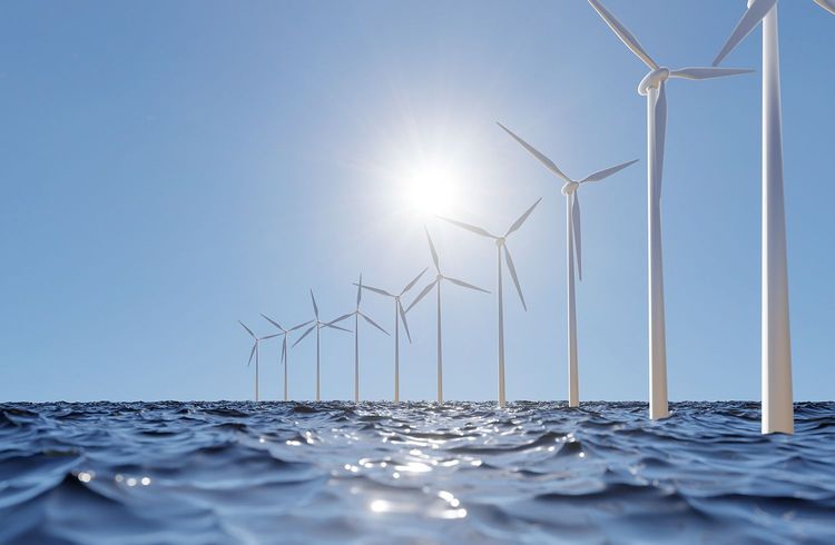 Versteigerung von Windparks: Unternehmen verzichten auf staatliche Förderung