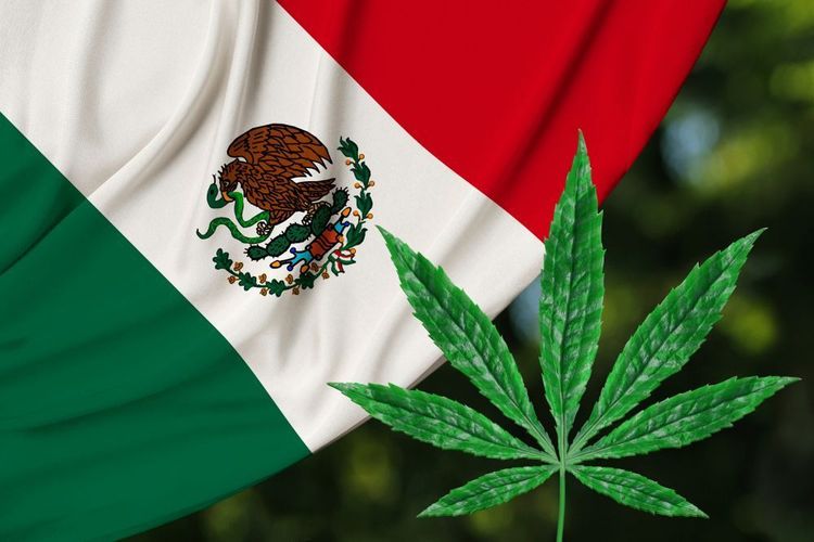 Verschiebung der Legalisierung in Mexiko wohl taktisches Geplänkel