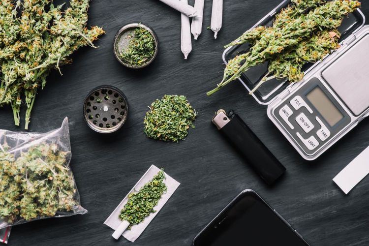 Wissenschaftler entwickeln Schnelltest für Marihuana-Konsum