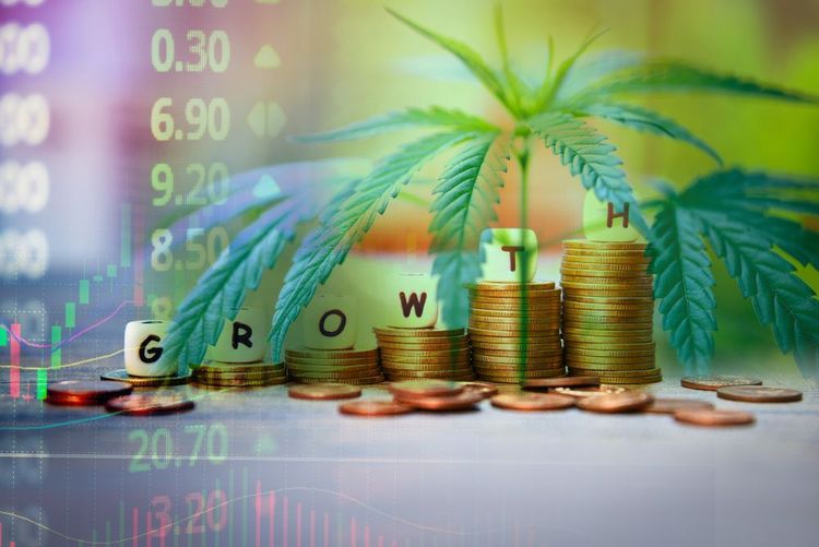 Deutschland vor der Cannabis-Legalisierung