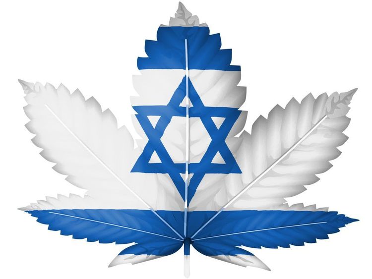 Marihuana Startup in Israel verkündet Top-Deal