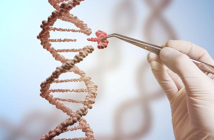 Revolutionäre Crispr-Genbearbeitung gelangt vom Labor in den Behandlungsraum