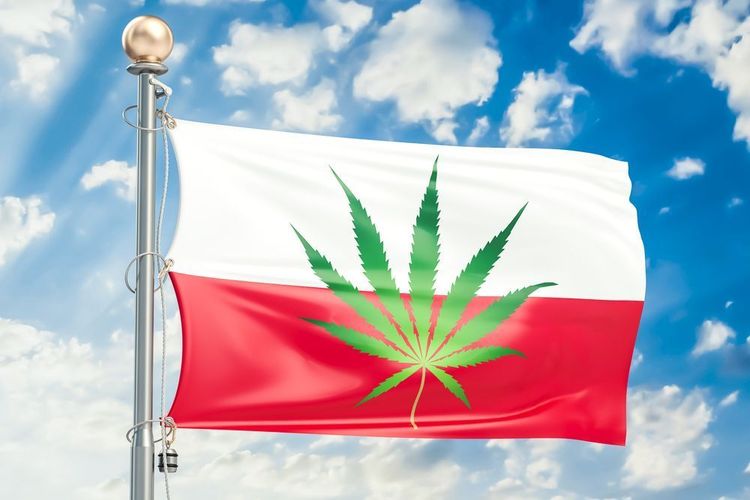 Cannabis-Reformen jetzt auch in Polen