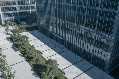 Big Tree Cloud Aktie explodiert um über 950 Prozent