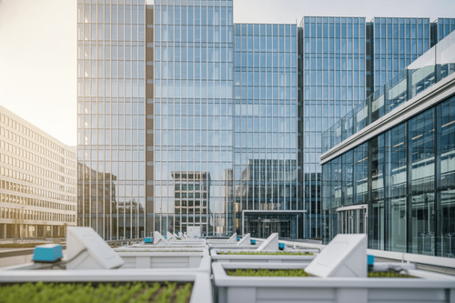 Bayer gewinnt: US-Gericht schränkt Tausende Roundup-Klagen ein