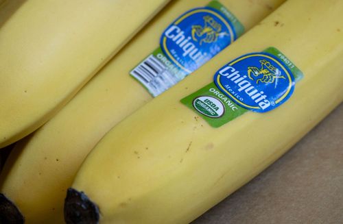  Chiquita kündigt Massenentlassungen in Panama an