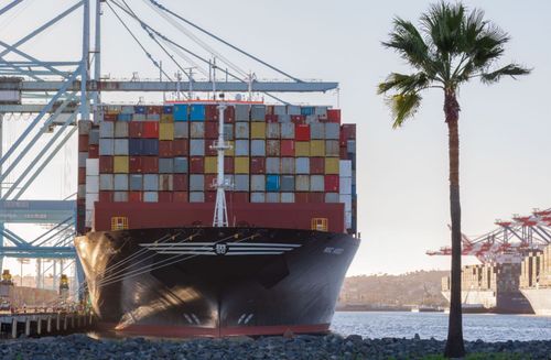 MSC sichert sich fast die Hälfte der HHLA