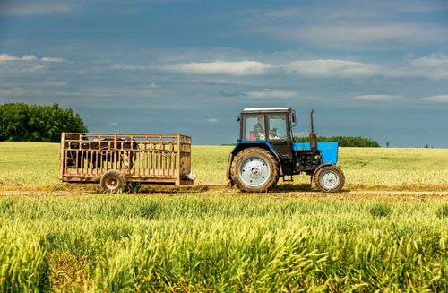 US-Farmer geraten in Bedrängnis