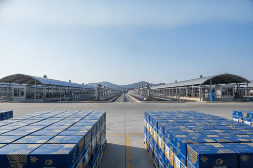 China Modern Dairy springt nach Übernahme von China Shengmu auf Zweimonatshoch