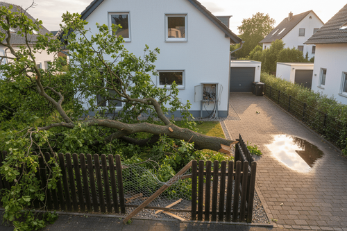 Baum fällt auf Nachbars Grundstück: Wer haftet für den Schaden?
