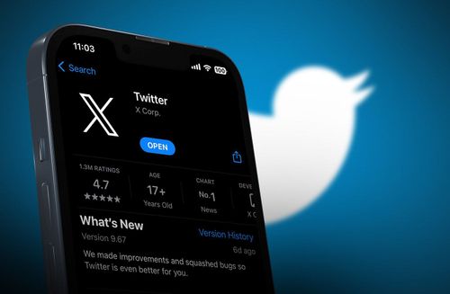 Streit um Twitter: Musk muss "X"-Logo entfernen