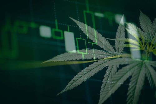 Ross Gerber: Cannabis "eine große Chance" für Investoren