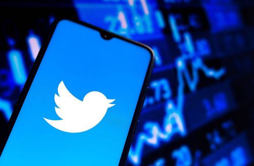 Twitter sagt, Elon Musks eigene Datenforscher hätten die Behauptungen über Bots nicht bestätigt