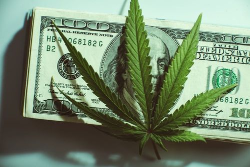 Wells Fargo nimmt vier Cannabis-Aktien auf