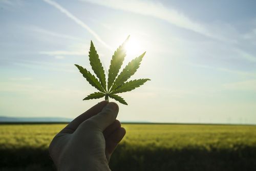 Wann legalisiert Kentucky?