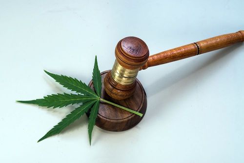 Luxemburg wird das erste Land in Europa, das Cannabis legalisiert