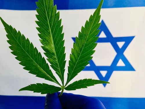 Auch in Israel könnte Marihuana in Kürze legalsiert werden