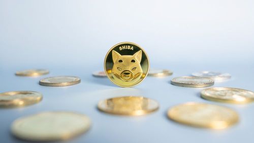 Gründer von Shiba Inu enttarnt