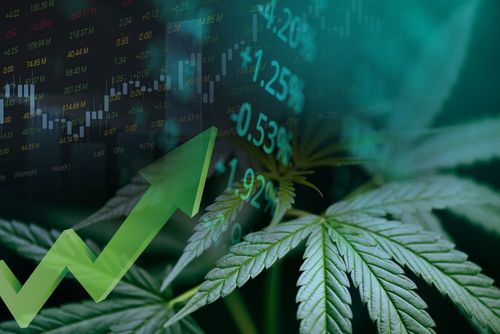Zwei heiße Marihuana-Aktien, die Sie aktuell im Auge haben sollten