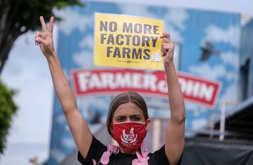 Klimaaktivisten verklagen britische Regierung wegen Ernährungsstrategie