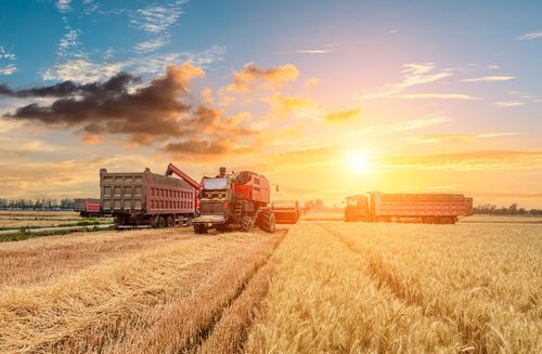 Gewerkschaft erreicht Tarifeinigung in der Landwirtschaft