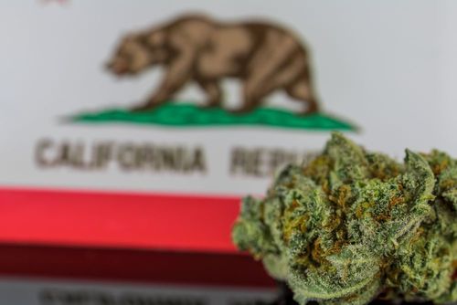 Kalifornias Cannabis Equity Alliance will mehr Soziale Gerechtigkeit