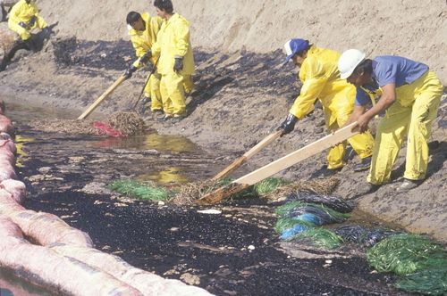 Großer Ölteppich wird in Kalifornien angeschwemmt und tötet Wildtiere