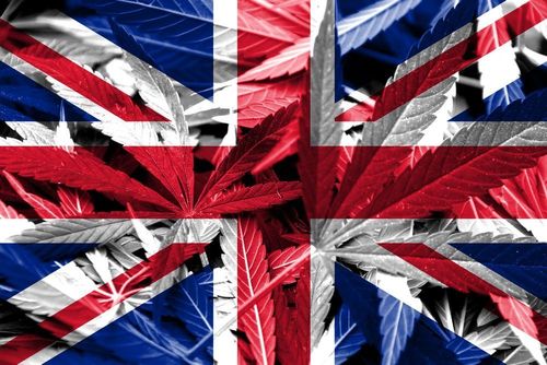 CEO von Vape sieht London als Zentrum für die Cannabisindustrie in Europa