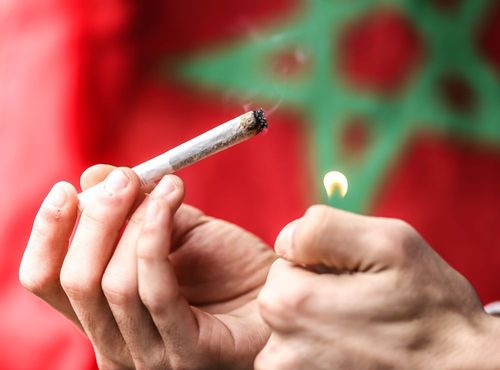 Marokko will in Kürze ein neues Cannabis-Gesetz erlassen