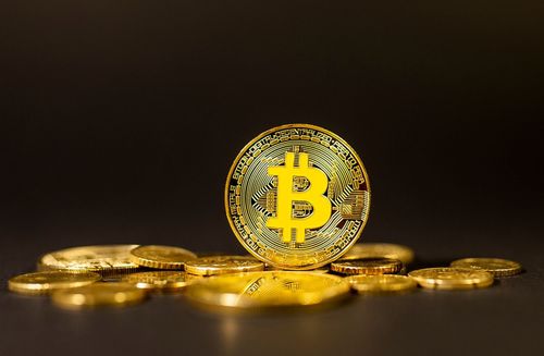Vermögensverwalter setzen trotz Marktschwäche stark auf Kryptowährungen